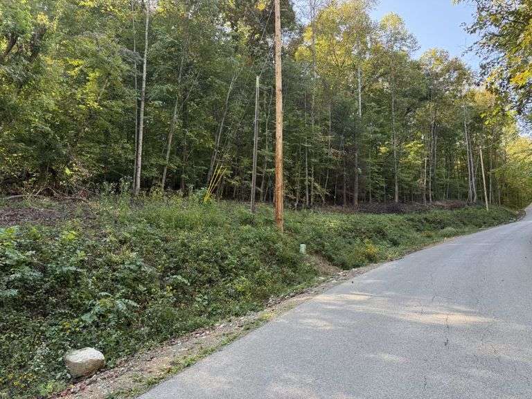 Block 1 - Lots 105-113 image