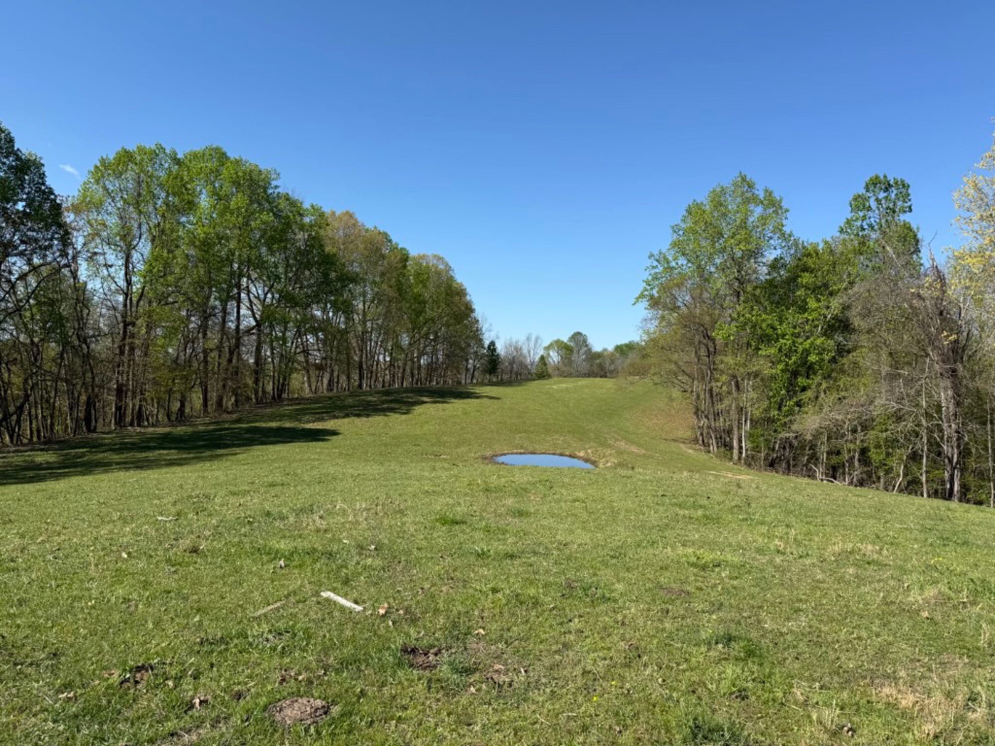 Lot image 32