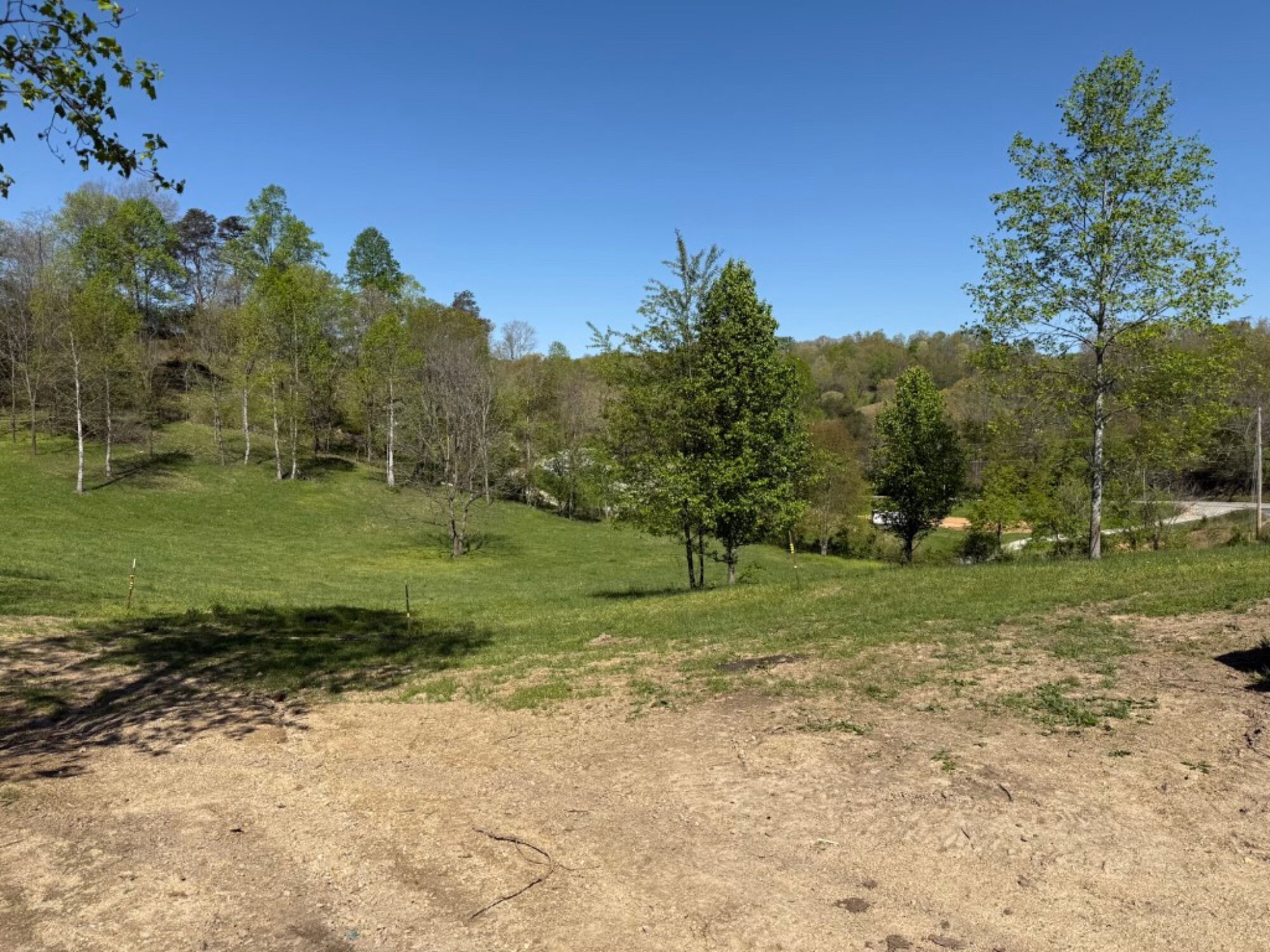 Lot image 12