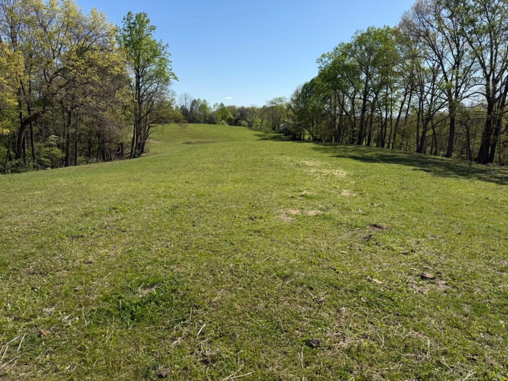 Lot image 31