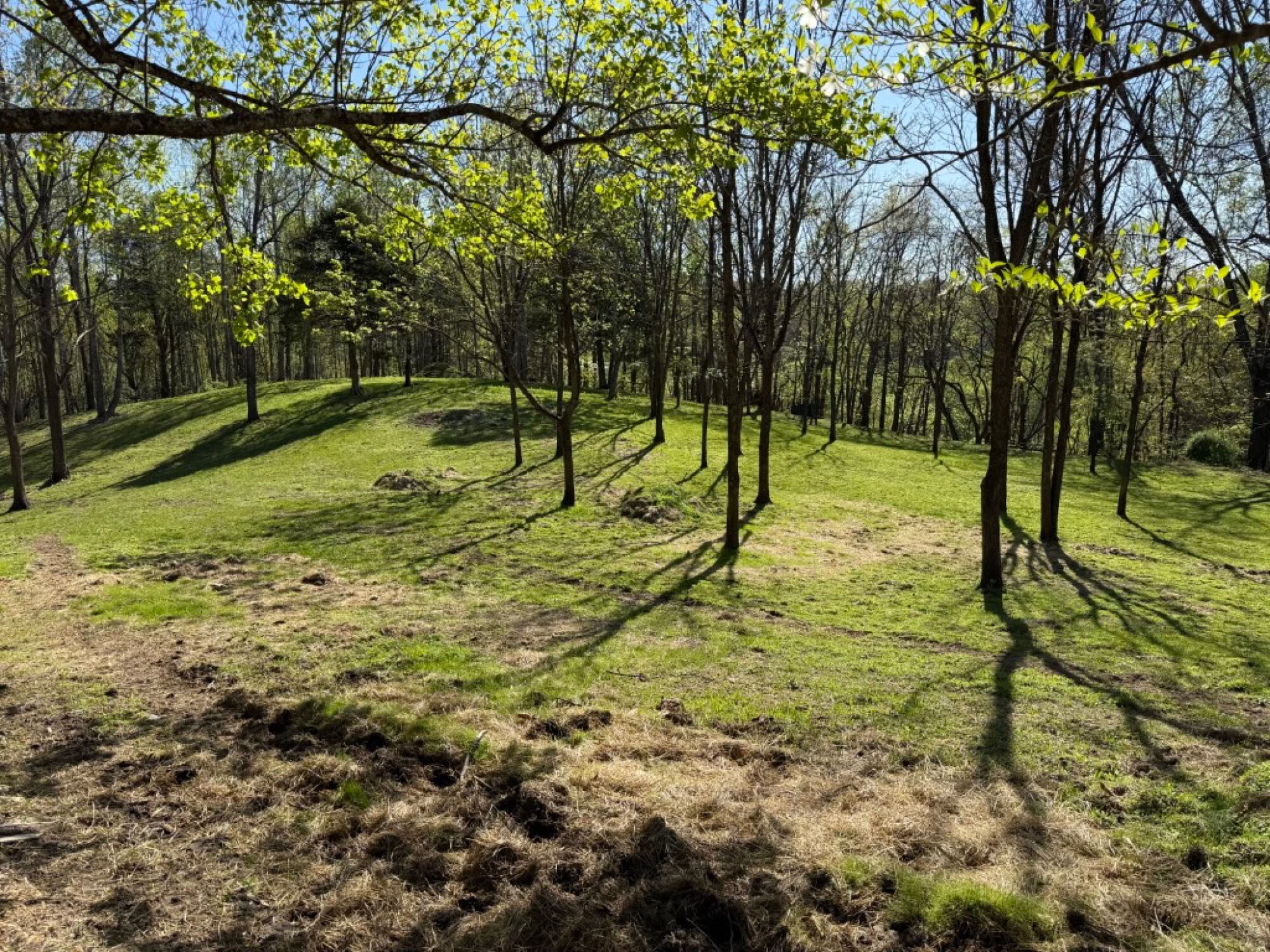 Lot image 19