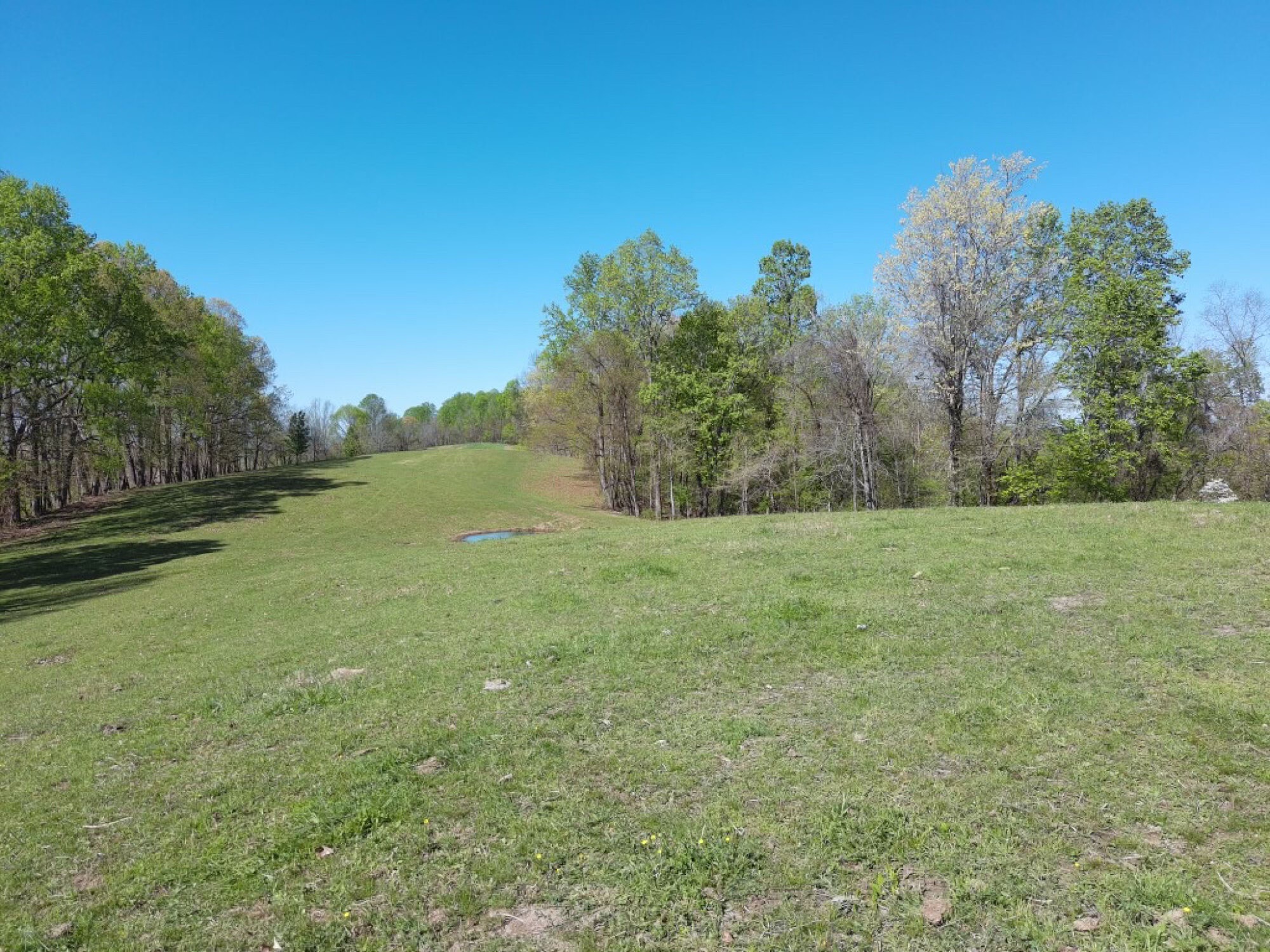 Lot image 45