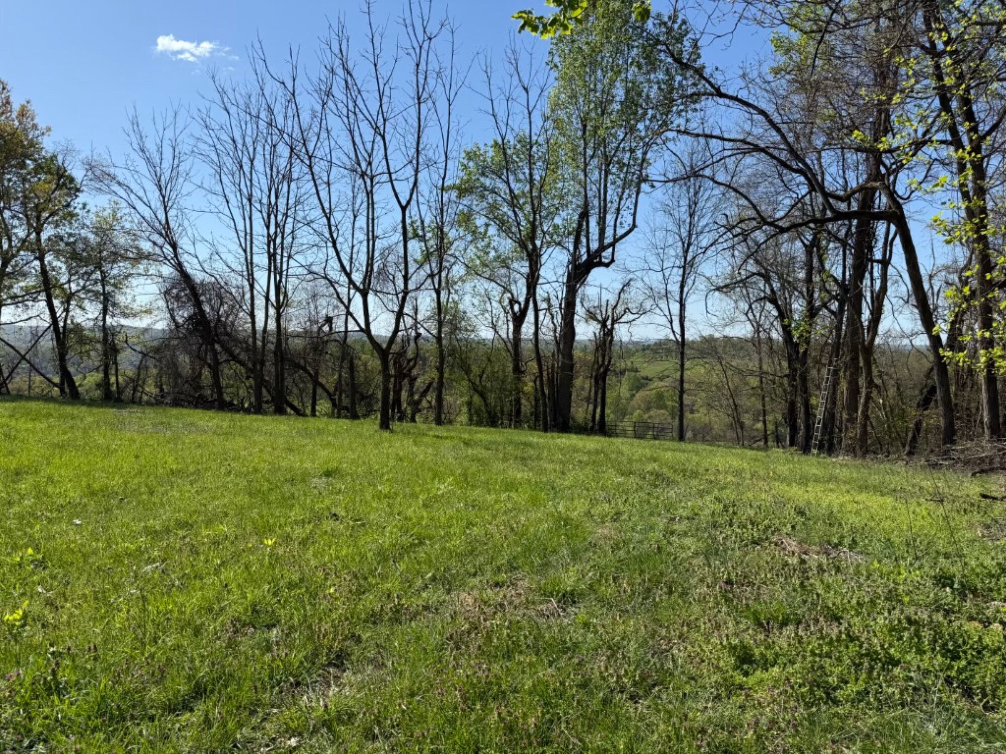 Lot image 3