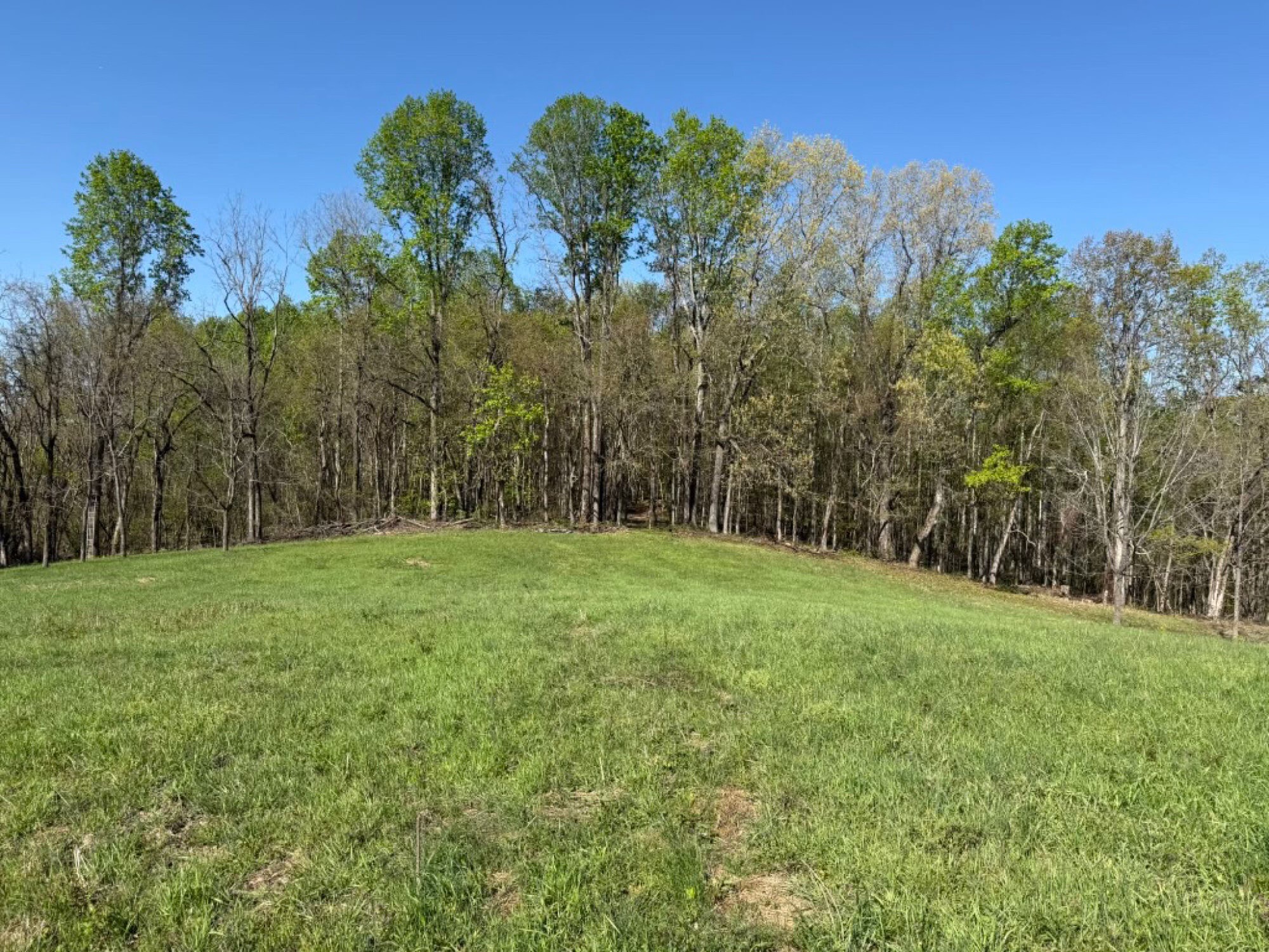 Lot image 5