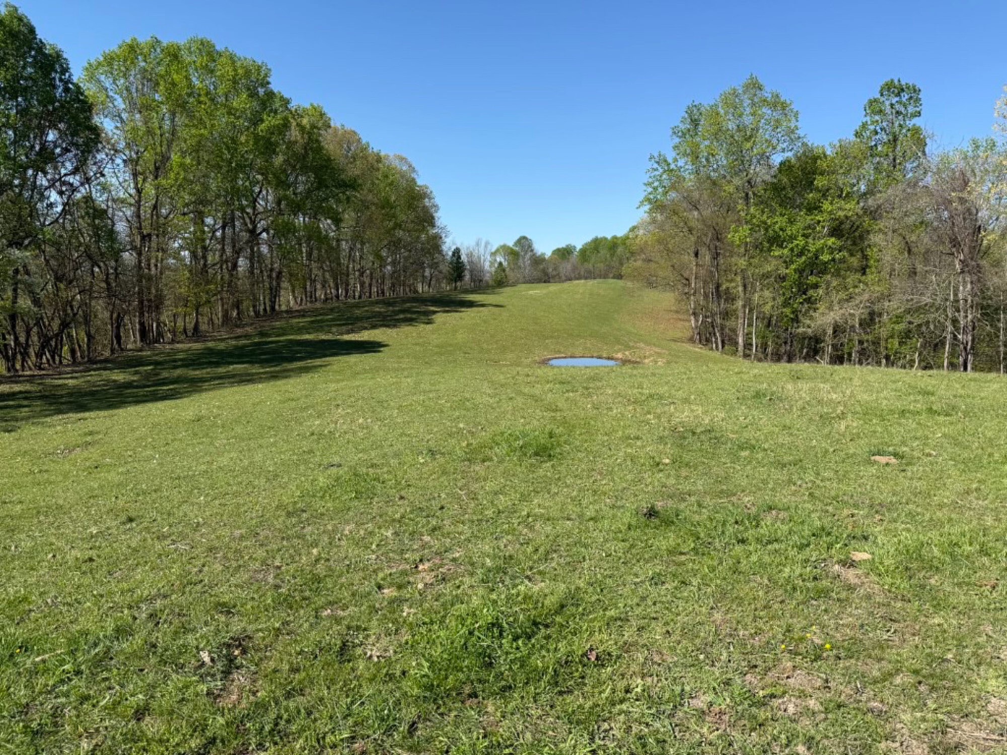 Lot image 17