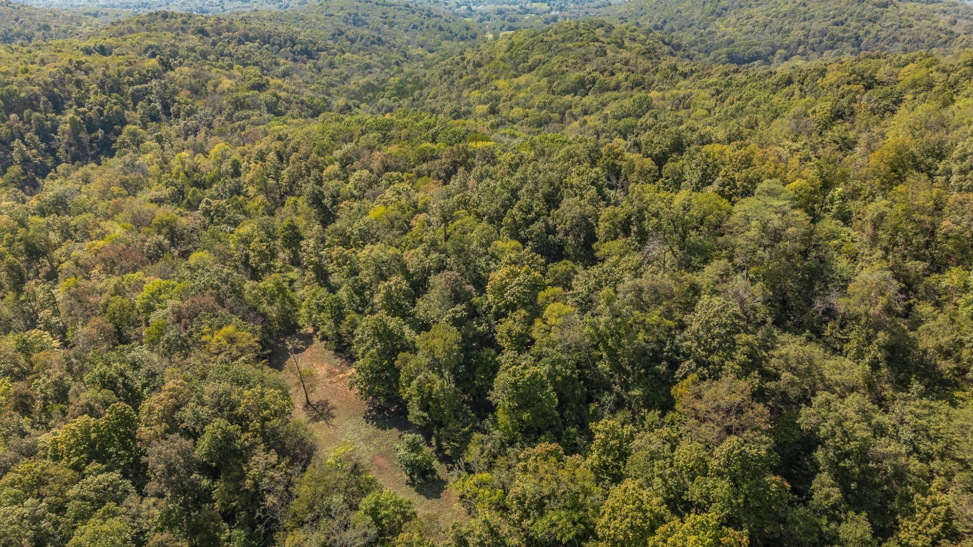 Lot image 15