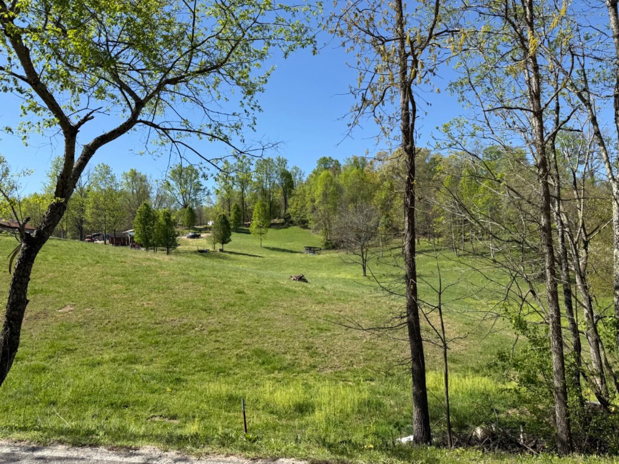 Lot image 11