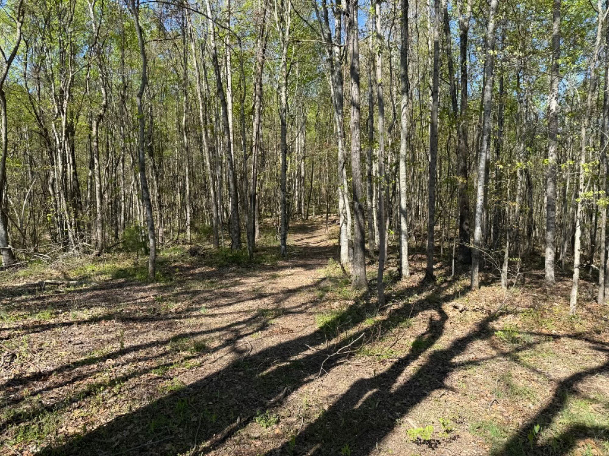 Lot image 4
