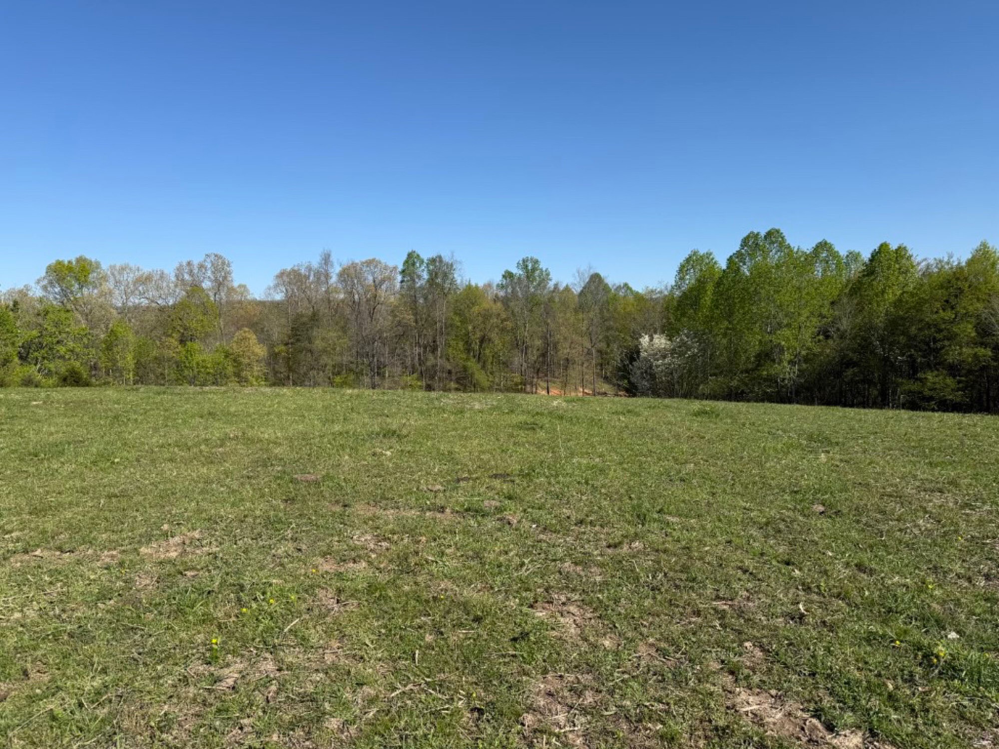 Lot image 34
