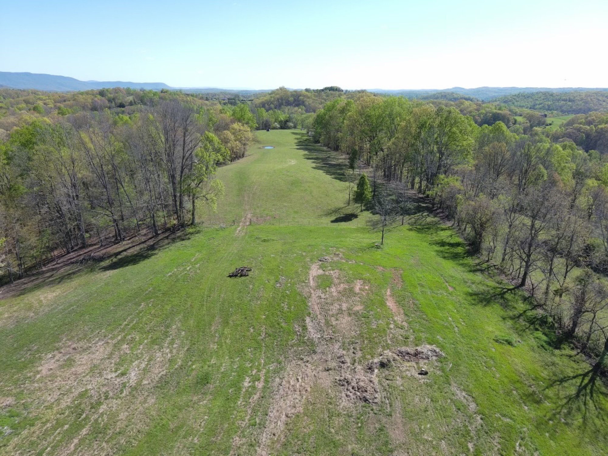 Lot image 49