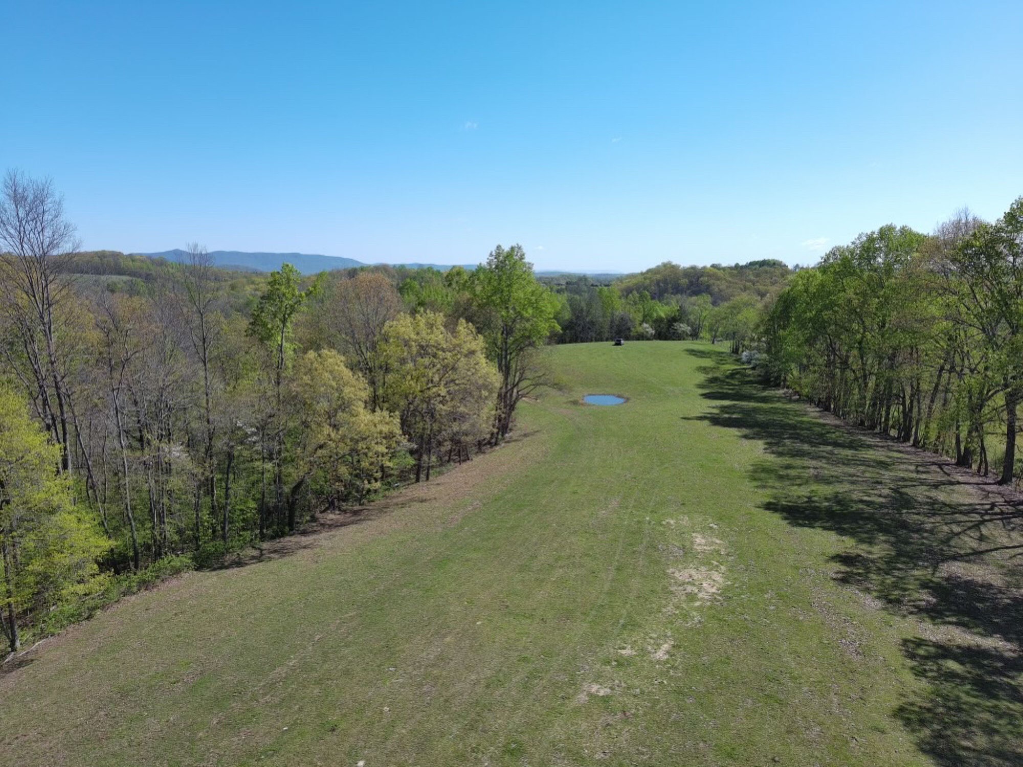 Lot image 42