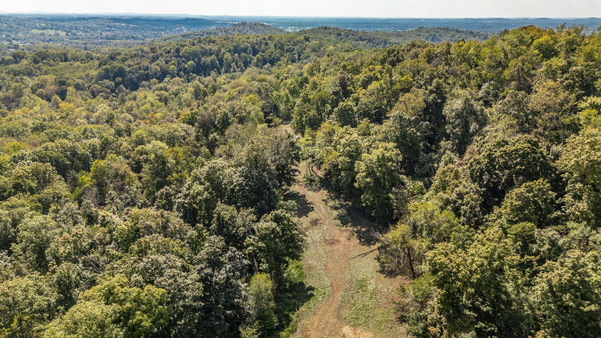 Lot image 14