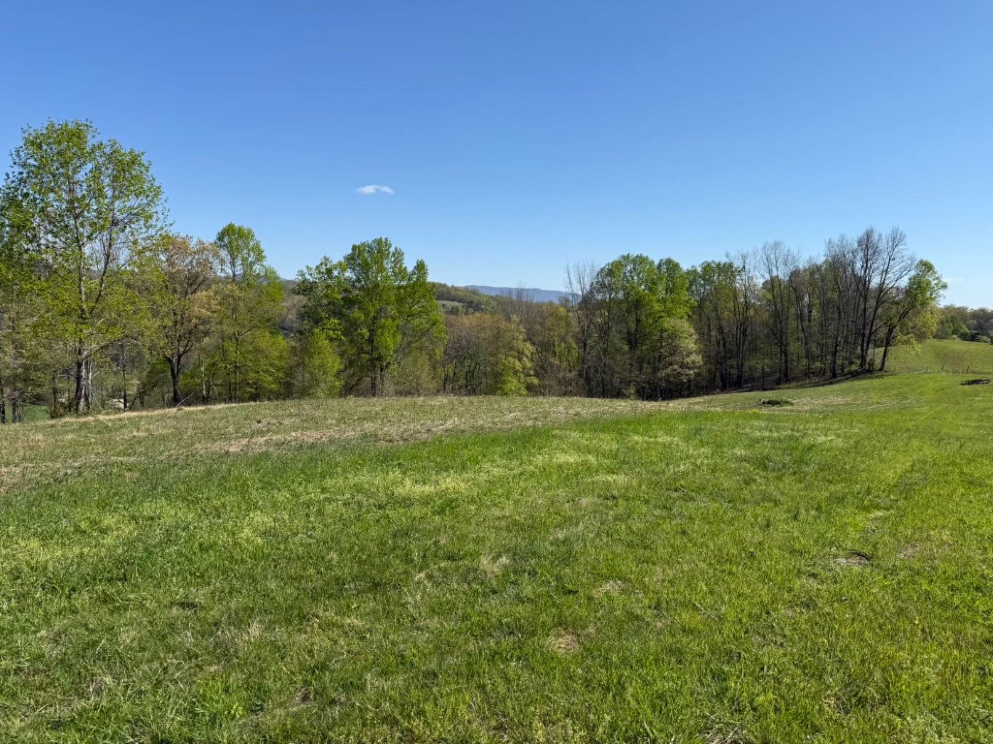 Lot image 1