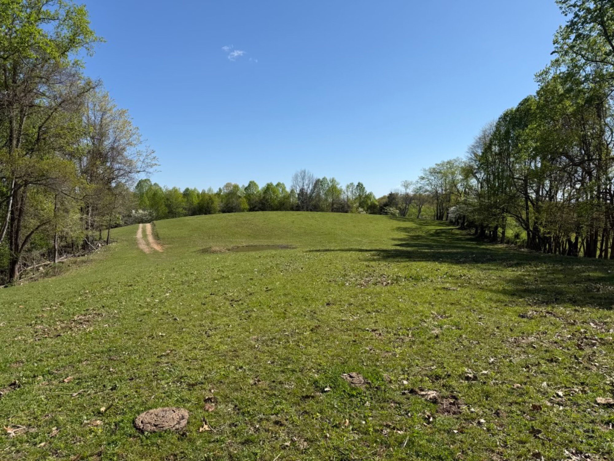 Lot image 15