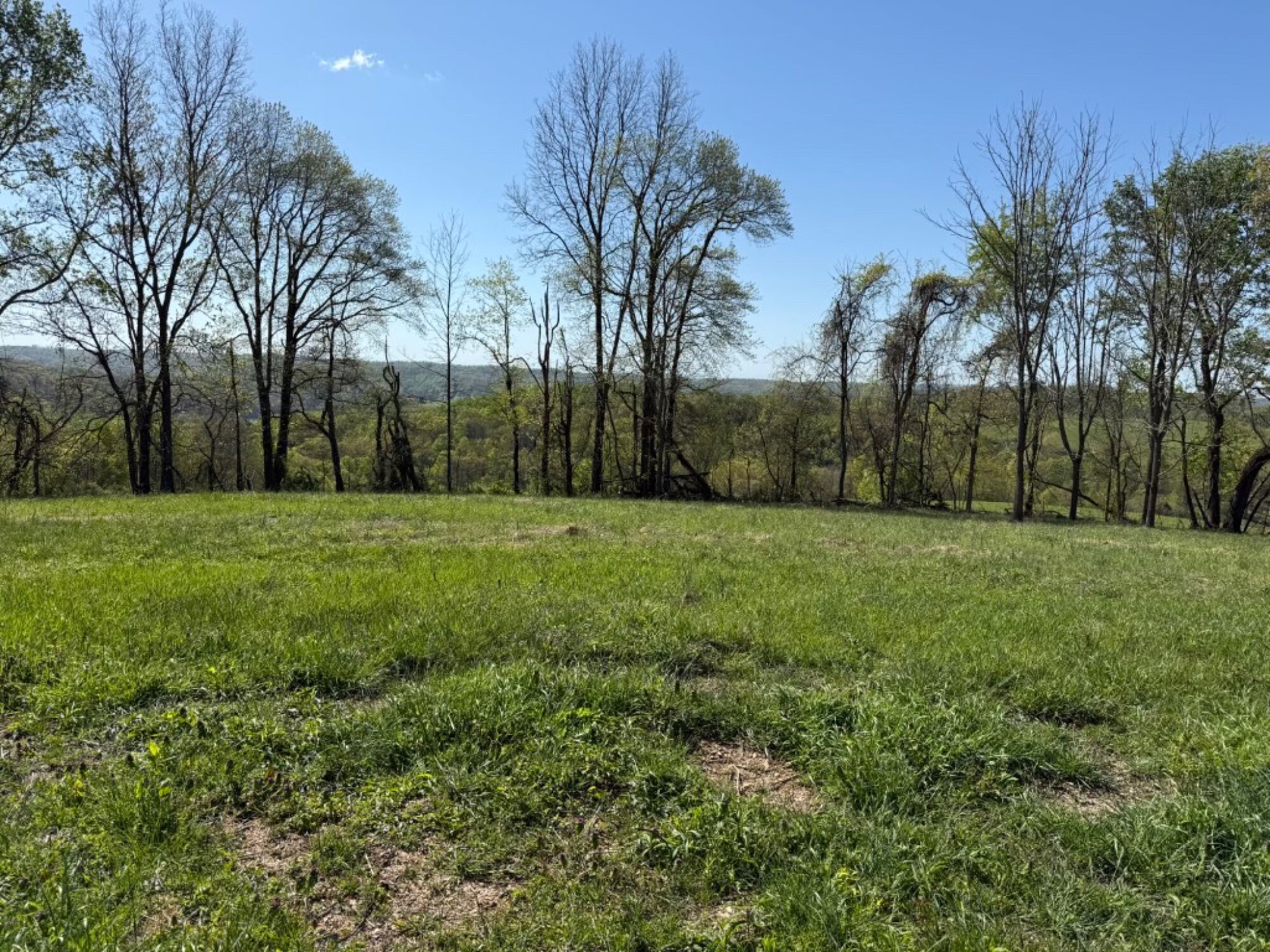 Lot image 16