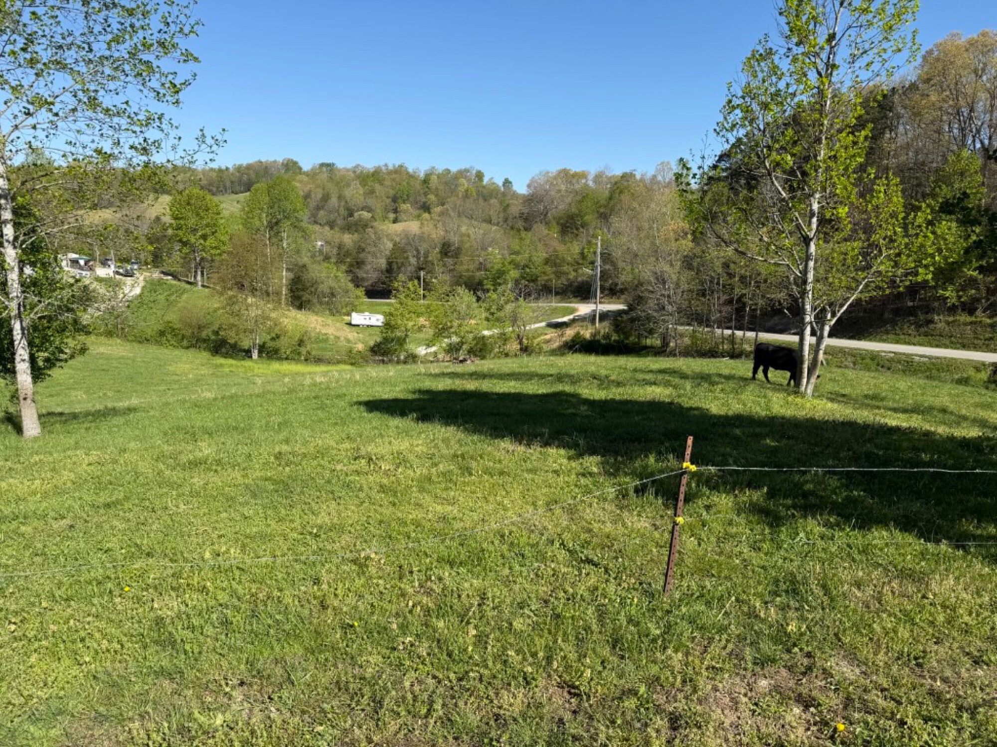 Lot image 21