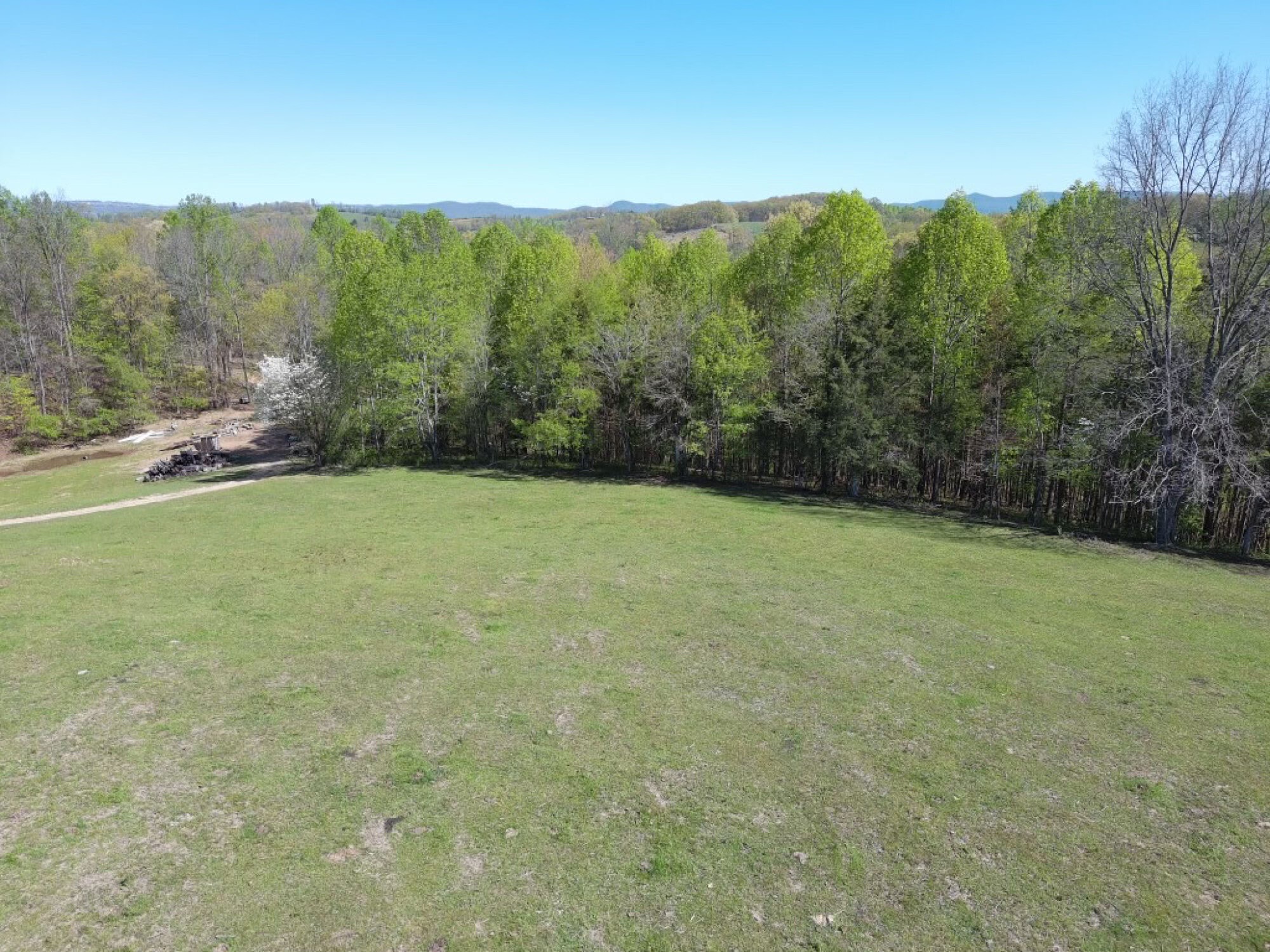 Lot image 48