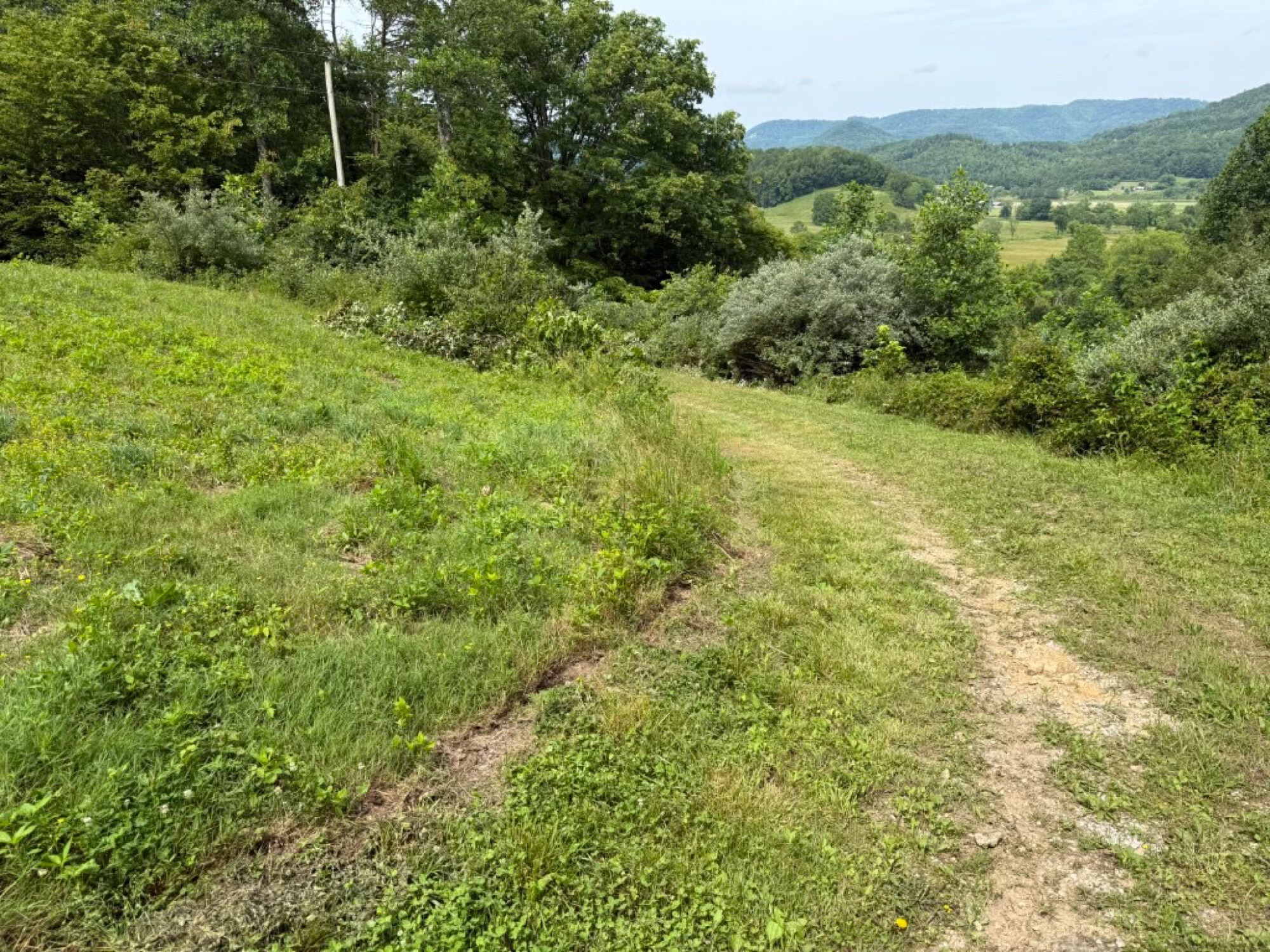 Lot image 11