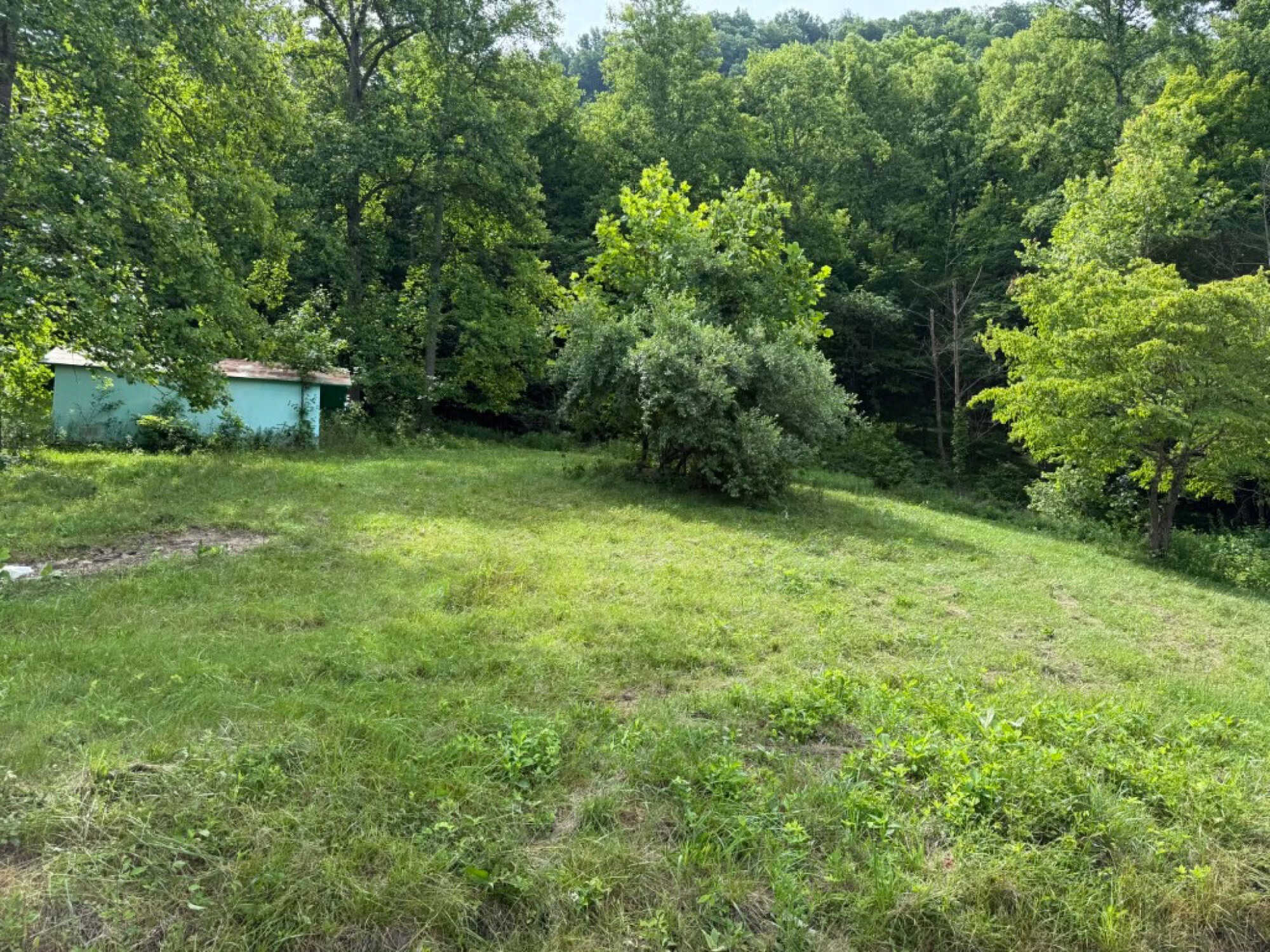Lot image 6