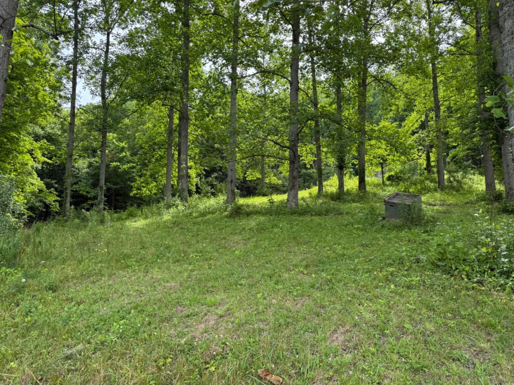 Lot image 5