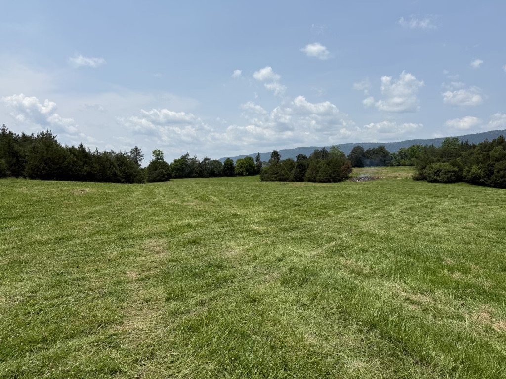 Lot image 3