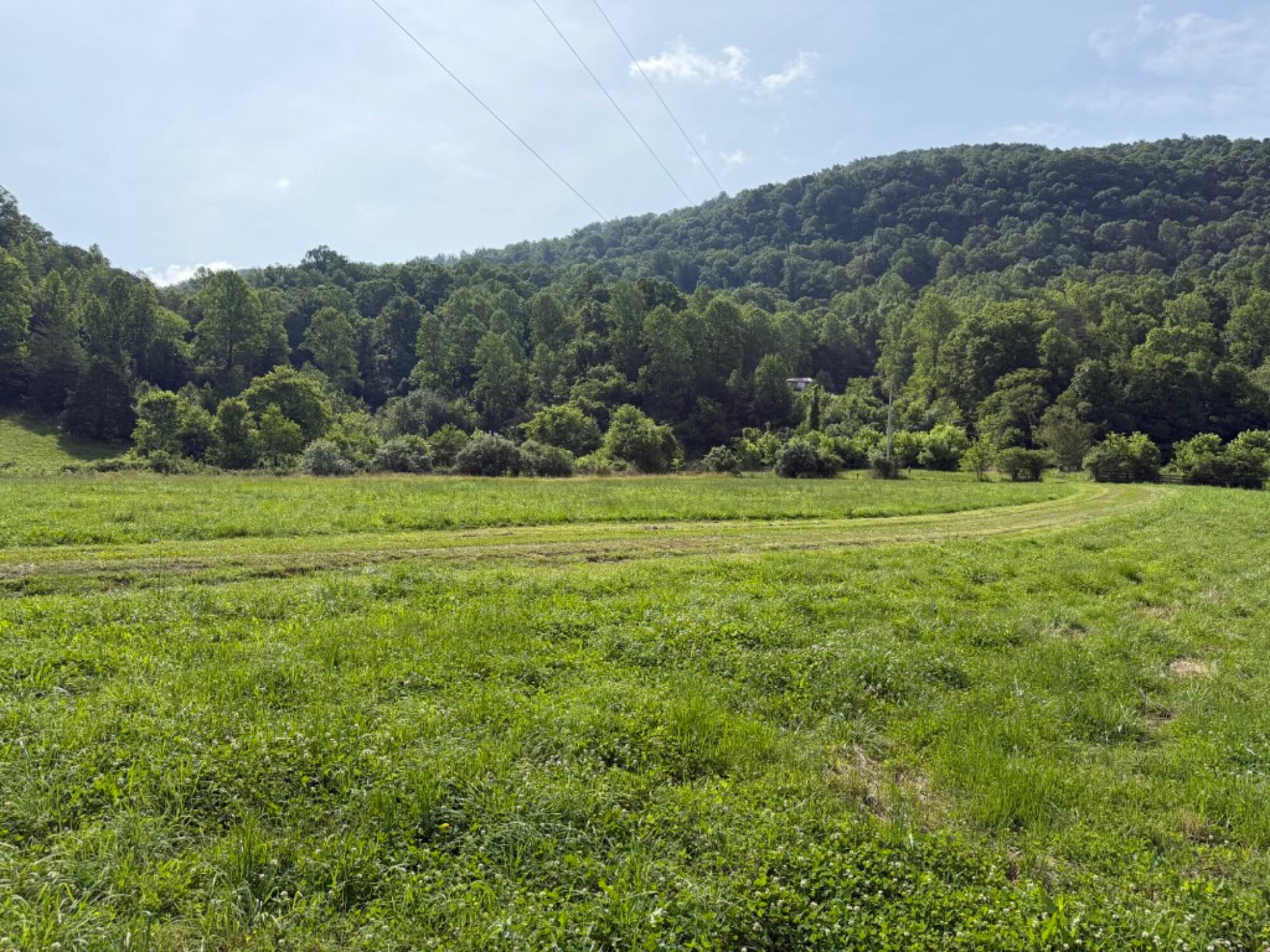 Lot image 44