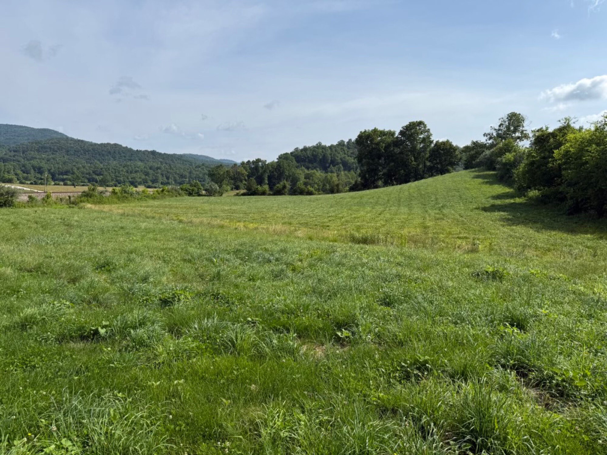 Lot image 59