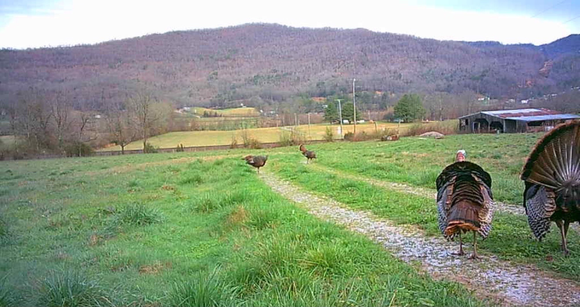 Lot image 71