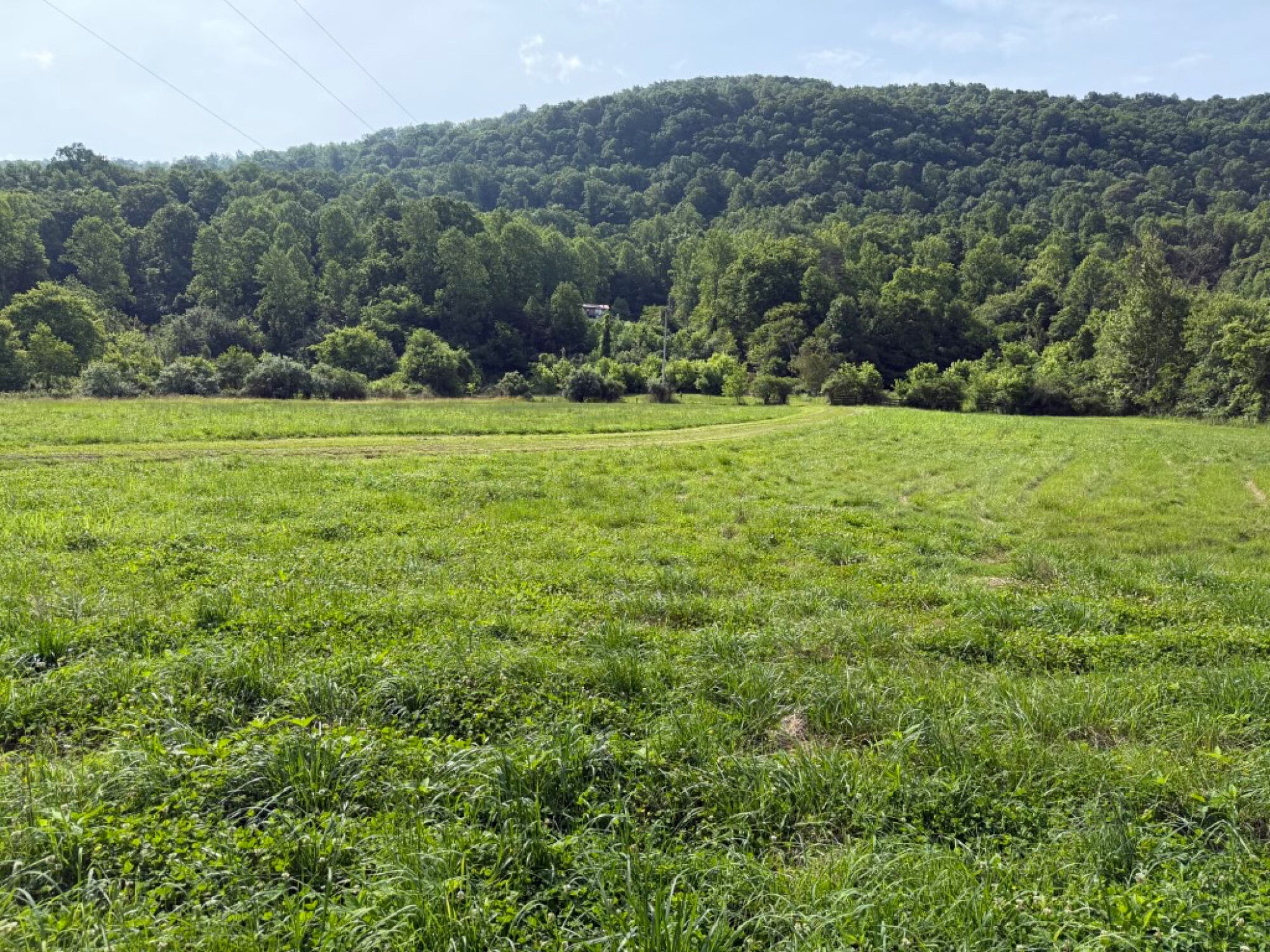 Lot image 46