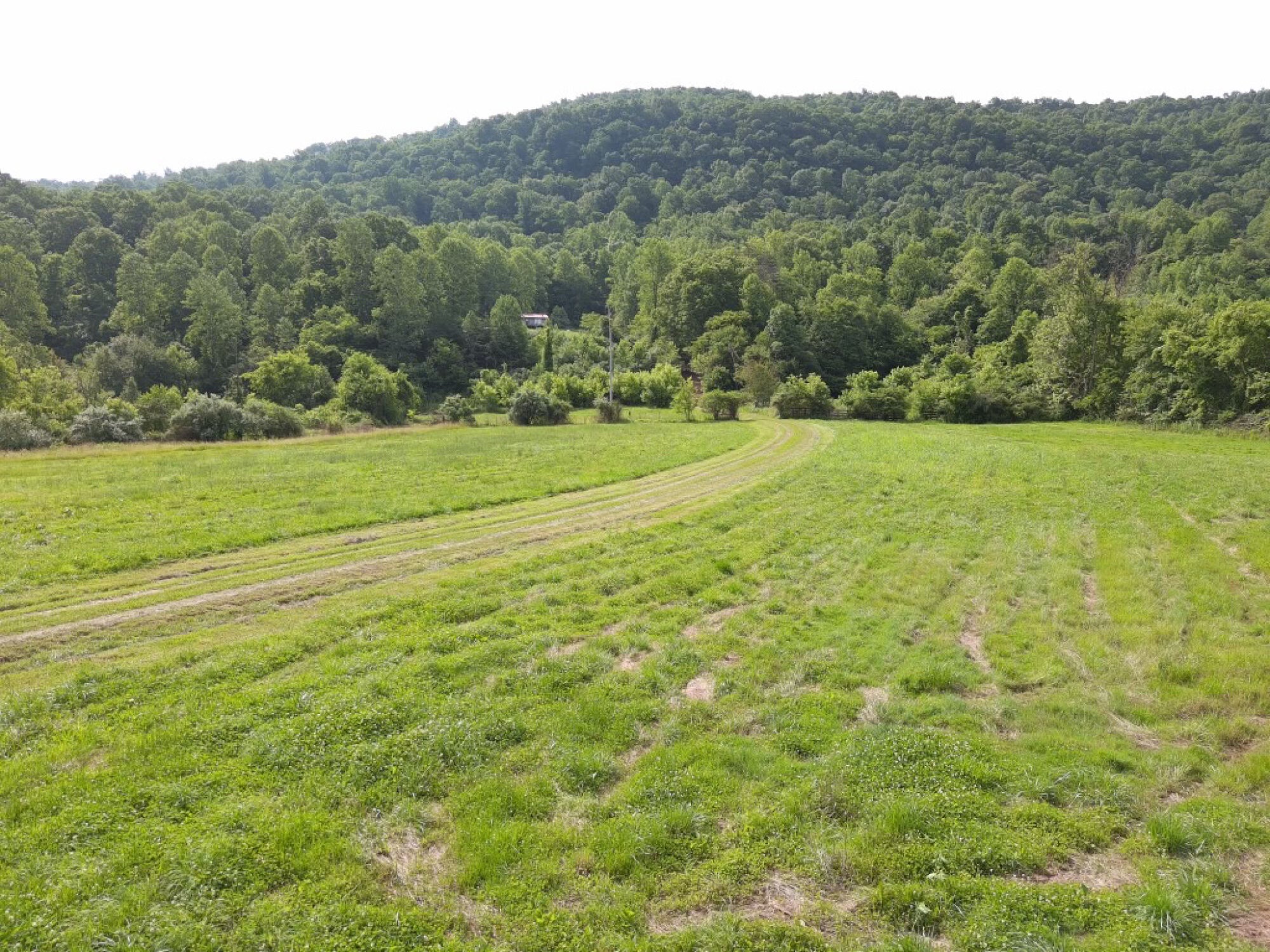 Lot image 17