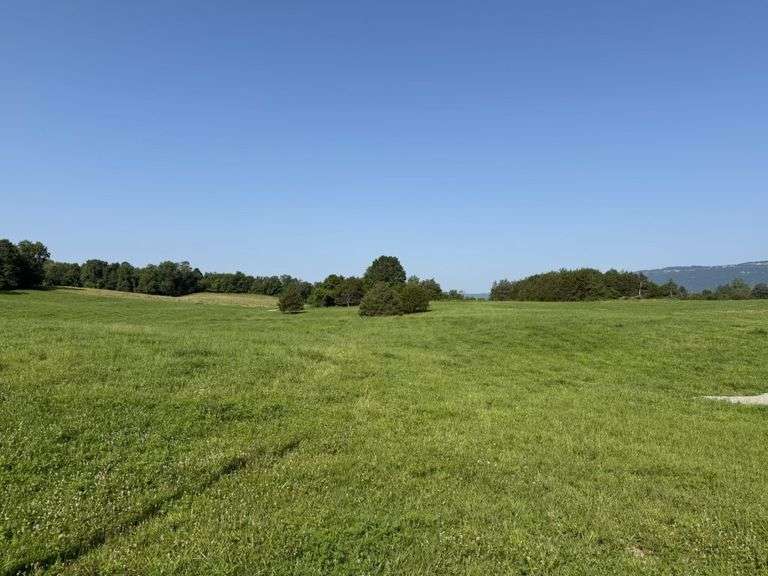 Tract 4, (7.80 Acres)