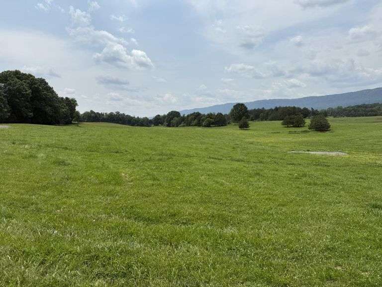 Tract 5, (7.94 Acres)