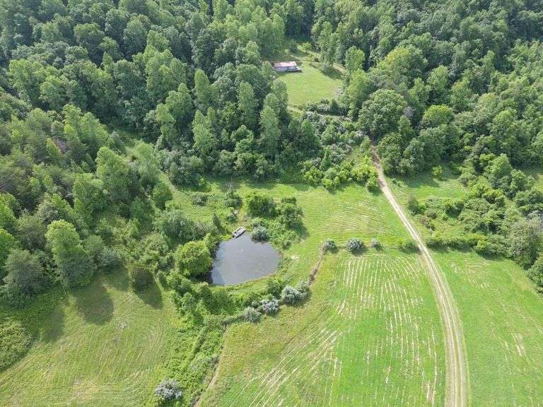 1332 Red Cut Ln, Pioneer, Tn.