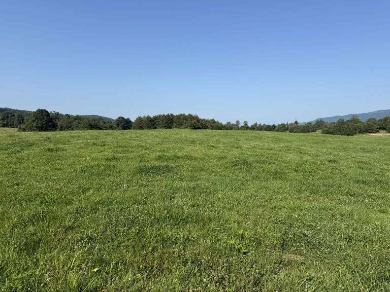 Tract 3, (5.01 Acres)