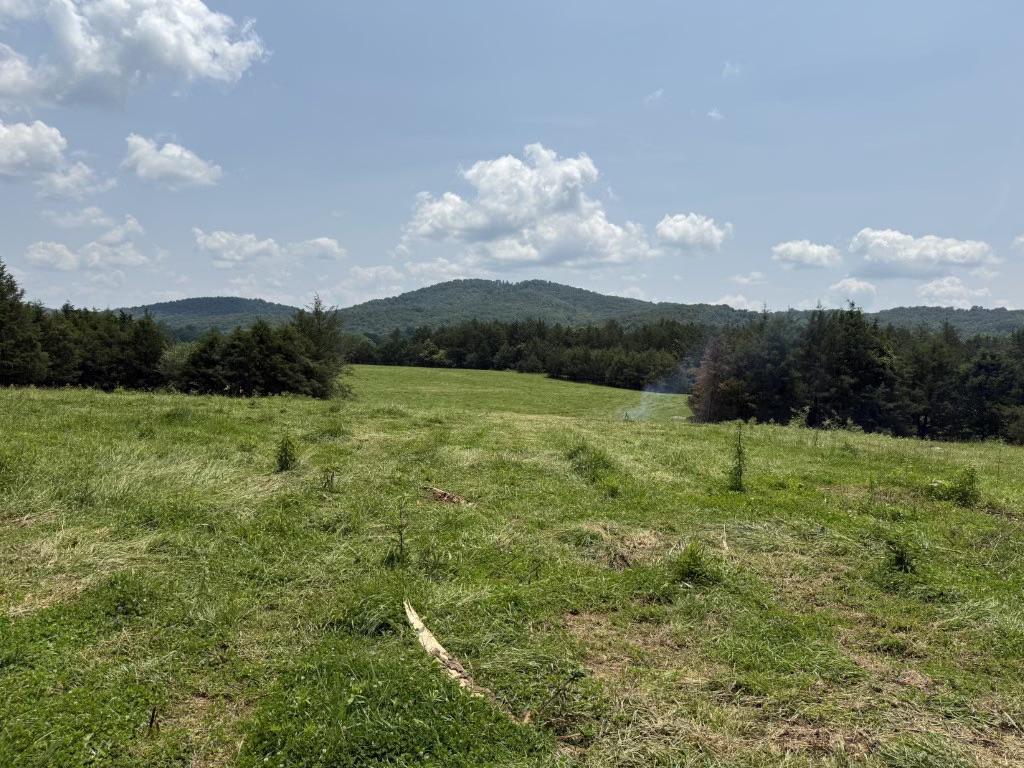 Lot image 5