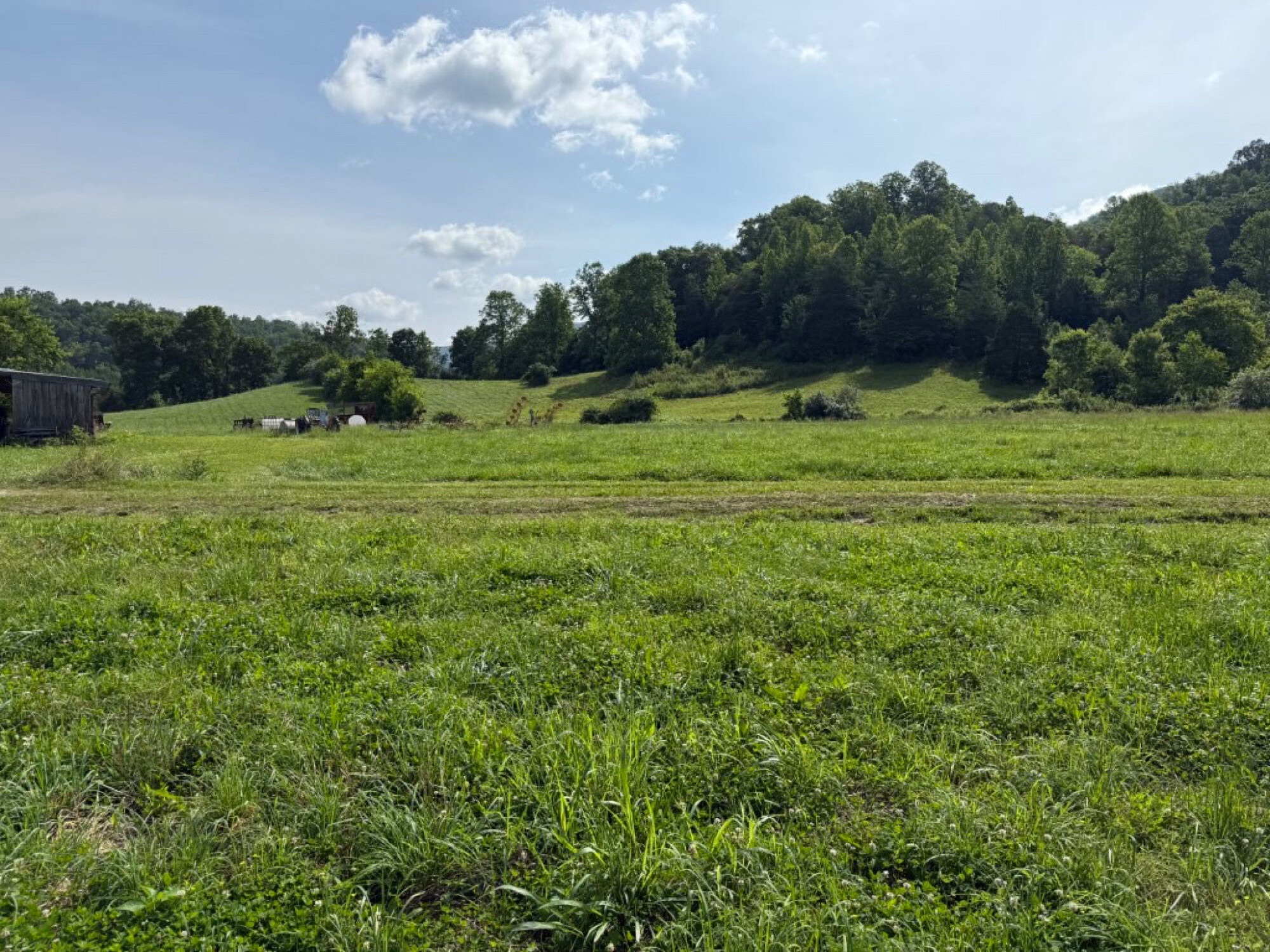 Lot image 45
