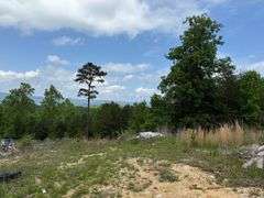 6 Acres and Home, River Rd., Jacksboro, TN.