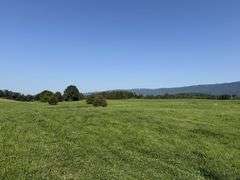 Tract 4, (7.80 Acres)