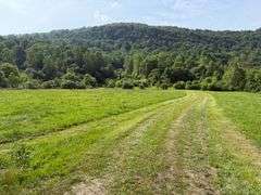 1332 Red Cut Ln, Pioneer, Tn.