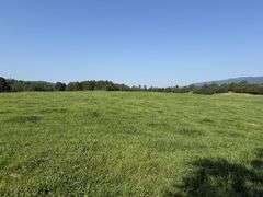 Tract 3, (5.01 Acres)