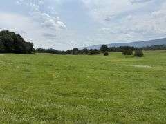 Tract 5, (7.94 Acres)
