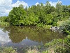 1332 Red Cut Ln, Pioneer, Tn.