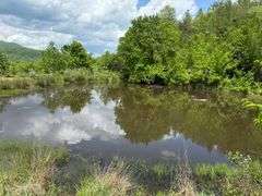 1332 Red Cut Ln, Pioneer, Tn.