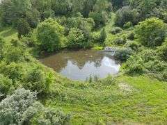 1332 Red Cut Ln, Pioneer, Tn.