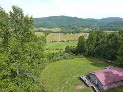 1332 Red Cut Ln, Pioneer, Tn.