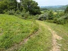 1332 Red Cut Ln, Pioneer, Tn.