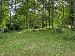 1332 Red Cut Ln, Pioneer, Tn.
