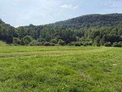 1332 Red Cut Ln, Pioneer, Tn.