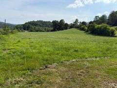 1332 Red Cut Ln, Pioneer, Tn.
