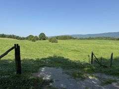 Tract 4, (7.80 Acres)